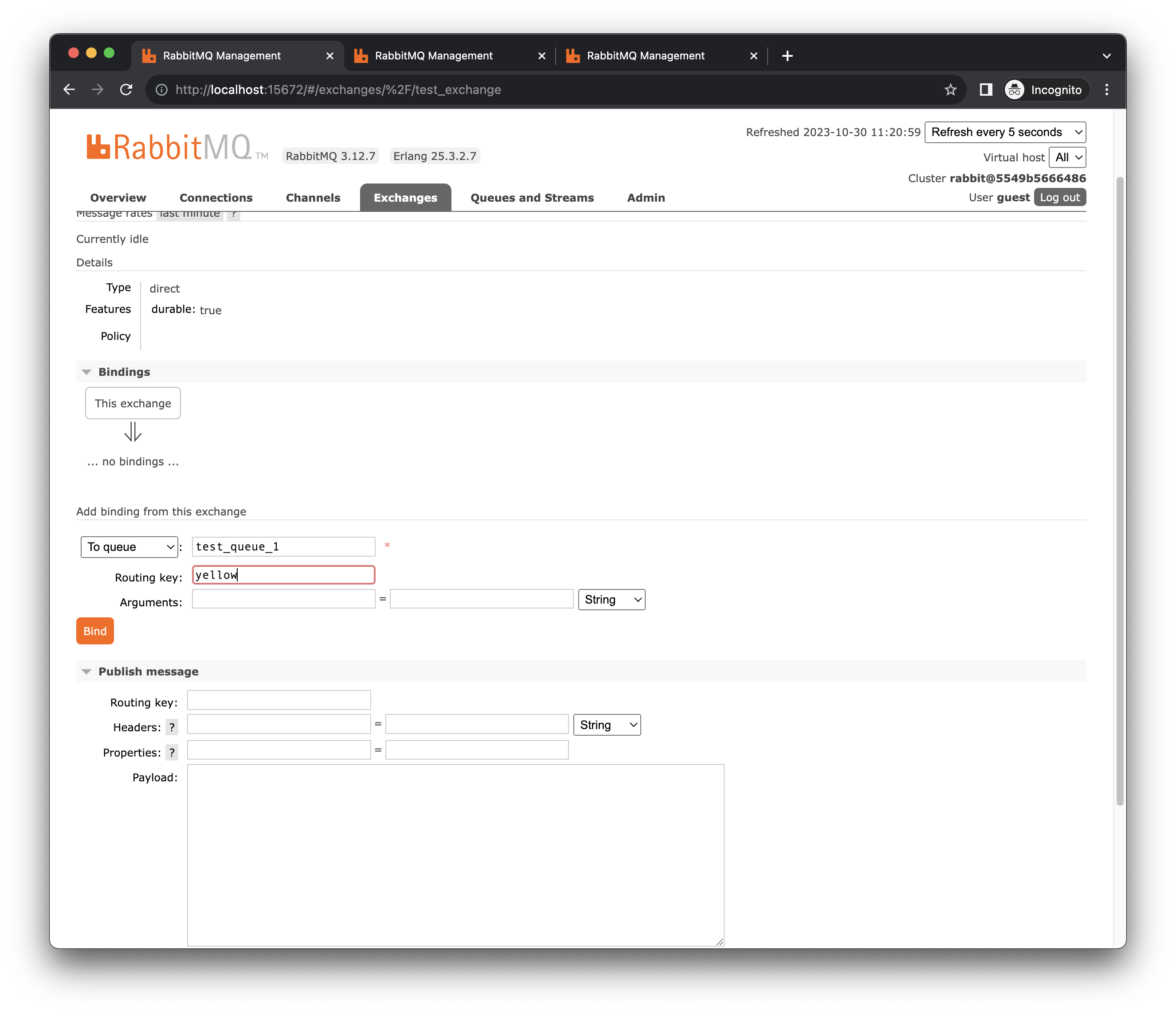 RabbitMQ gettingstarted5